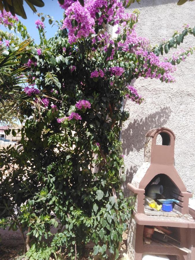 Apartman Ivica فير المظهر الخارجي الصورة